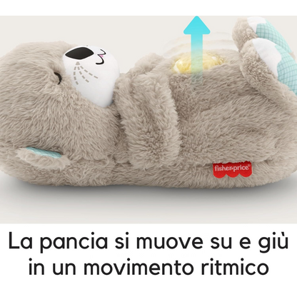 Cucciolo di Lontra